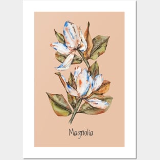 Large white magnolia flower Posters and Art